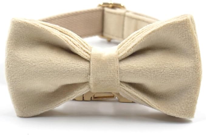 PETDURO Custom Dog Collar Personalized with Name Engraved Quick Release Rose Gold Metal Buckle for Large Medium Small Girl Dogs - Dog Leash and Bow Tie Available - Soft Comfy Velvet (Pale Brown, XL)