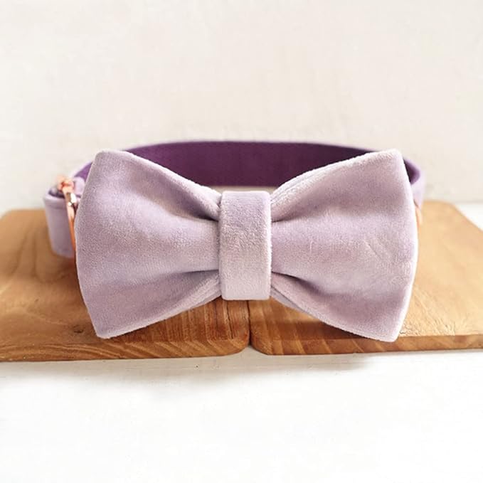 PETDURO Personalized Dog Collar Lavender Soft Velvet for Large Medium Small Boy Girl Dogs - Custom Collar with Name Phone Engraved on Rose Gold Metal Buckle - Add Leash Bow Set via Customize Now