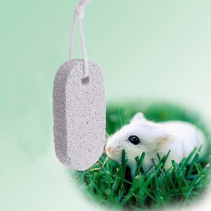 PINVNBY 10 Pcs Rbbits Lava Blocks Chinchilla Lava Ledge Small Animal Mineral Calcium Stone Bunny Teeth Grinding Chew Toy for Hamster Chinchilla Rabbit