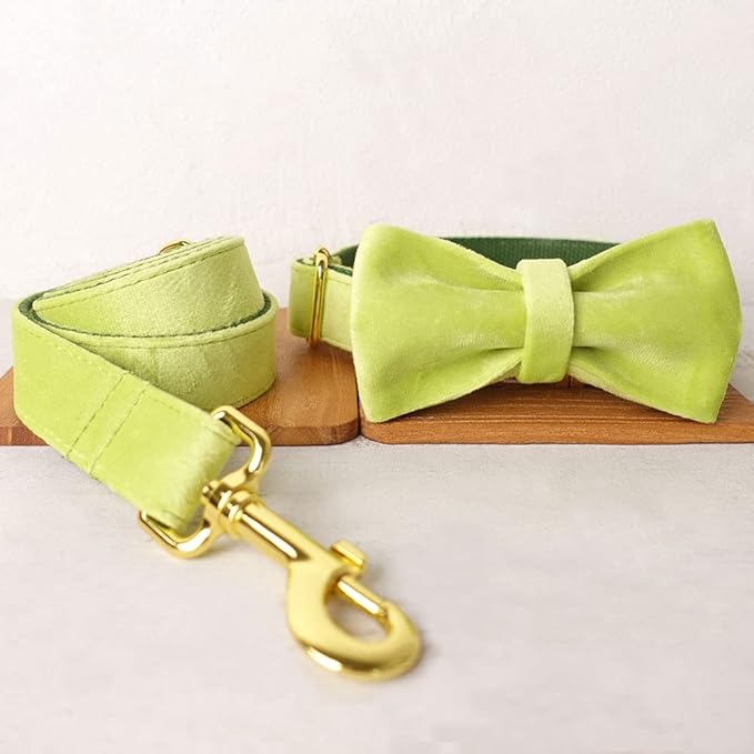 PETDURO Custom Dog Collar Personalized with Name Engraved Quick Release Rose Gold Metal Buckle for Large Medium Small Girl Dogs - Dog Leash and Bow Tie Available - Soft Comfy Velvet (Mint Green, XL)