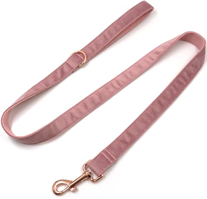 PETDURO Custom Dog Collar Personalized with Name Engraved Rose Gold Metal Buckle for Large Medium Small Girl Dogs - Dog Leash and Bow Tie Available - Soft Comfy Velvet (Champagne Pink RG, S)