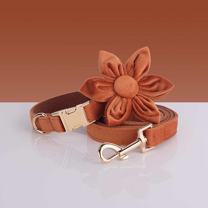 PETDURO Personalized Dog Collars Fancy Velvet with Custom Name Engraved for Large Medium Dog - Matching Leash, Bow Tie, Harness and Poop Bag Holder Available - Metal Buckle - Multi-Colors (XS)