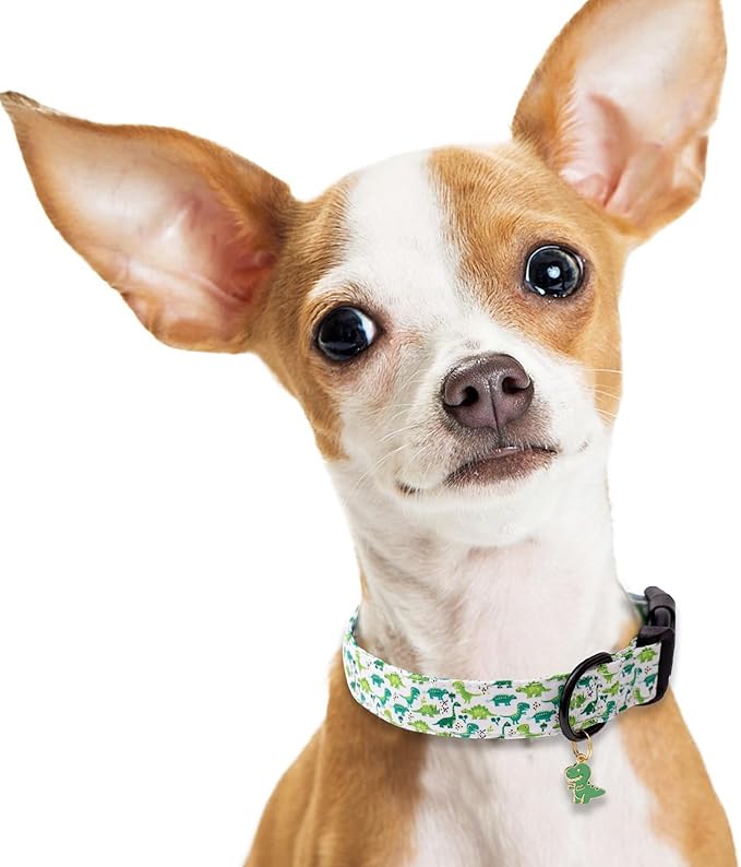 Faygarsle Dog Collar for Small Medium Large Dogs Cute Green Puppy Collars for Male Dogs Dinosaur Patterned Pet Collars for Summer Spring Wedding Puppy Boy Dog Collar XS