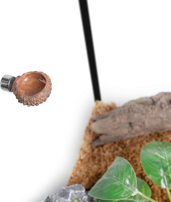 Oiibo Jumping Spider Hideout and Feeding Dish, 3 in 1 Nut Shaped Hide Cave Sets for Spider Playing Feeding Climbing, Enclosure Accessories