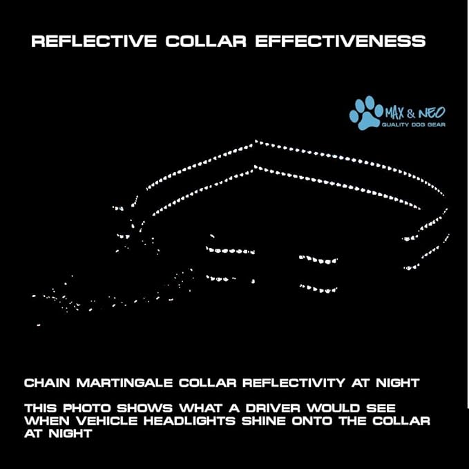 Max and Neo Stainless Steel Chain Martingale Collar - We Donate to a Dog Rescue for Every Collar Sold (Small, Blue)