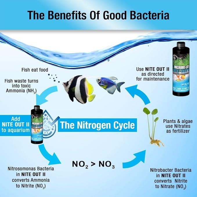 MICROBE-LIFT Nite-Out II Aquarium Bacteria for Start-up, Instantly Cycle Aquariums, Add Fish on Day 1, Rapid Ammonia and Nitrite Reducer for Freshwater & Saltwater Fish Tank, 1 Gallon 2-Pack