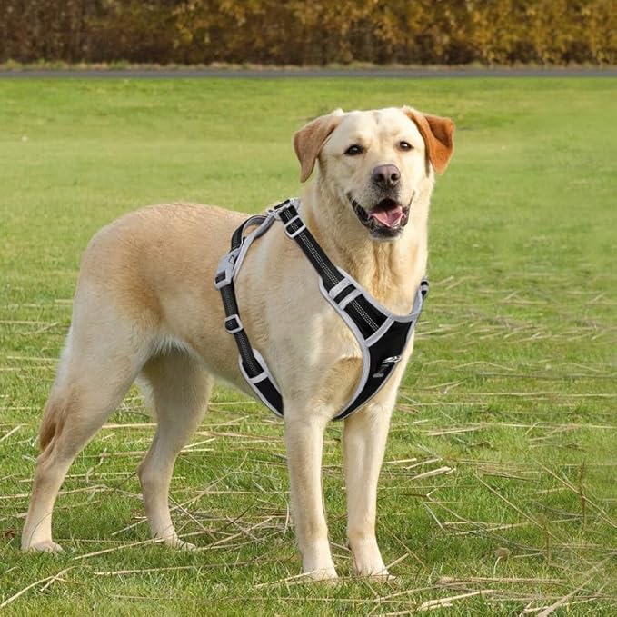 Adjustable Dog Harness - No Pull, Reflective, Soft Padded for Small, Medium, Large Dogs - Includes Leash and Collar Black L