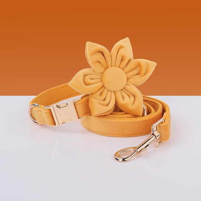 PETDURO Personalized Dog Collars Fancy Velvet with Custom Name Engraved for Large Medium Boy Girl Dog - Multi-Colors - Leash, Bow Tie, Harness and Poop Bag Holder Available - Metal Buckle (XS)