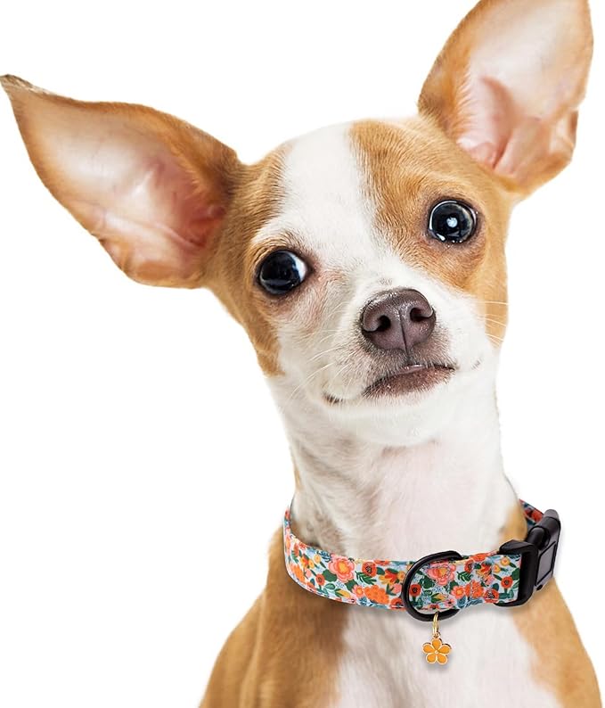 Faygarsle Dog Collar for Small Medium Large Dogs Cute Gaily Colored Puppy Collars for Female Dogs Floral Patterned Pet Collars for Summer Spring Wedding Puppy Girl Dog Collar XS