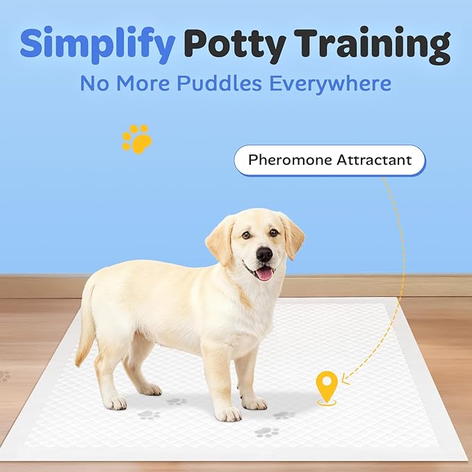 50 Count 28" x 34" Disposable Underpads for Adult, Baby, Puppy & Dogs with Anti-Slip Adhesive Tabs, Super Absorbent Quick Drying Leak-Proof, Incontinence Bed Pads for Adult & Baby, X-Large