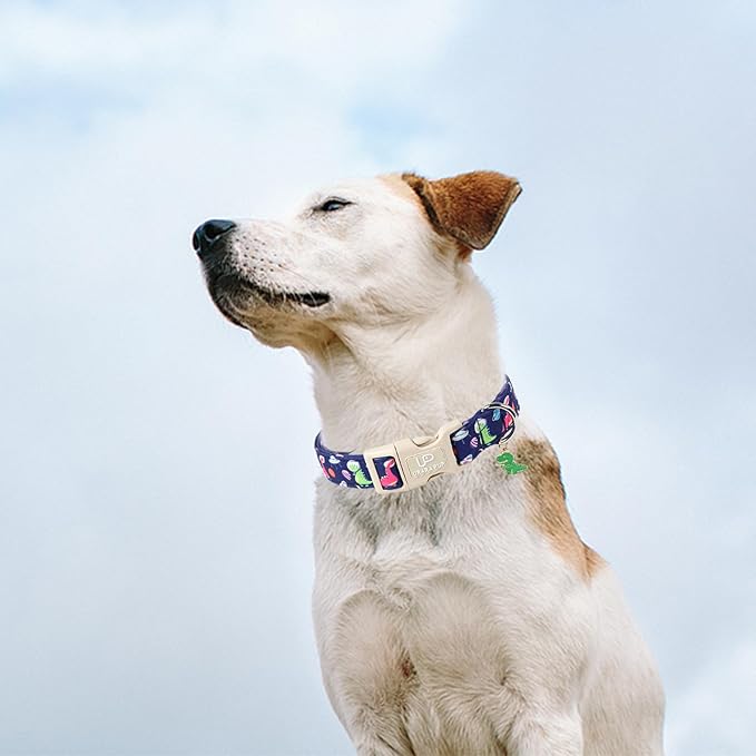 Summer Dog Collar-Dinosaur Dog Collars with Planet-Cute Blue Summer Pet Dollar-Soft, Adjustable & Stylish for Small/Medium Dogs