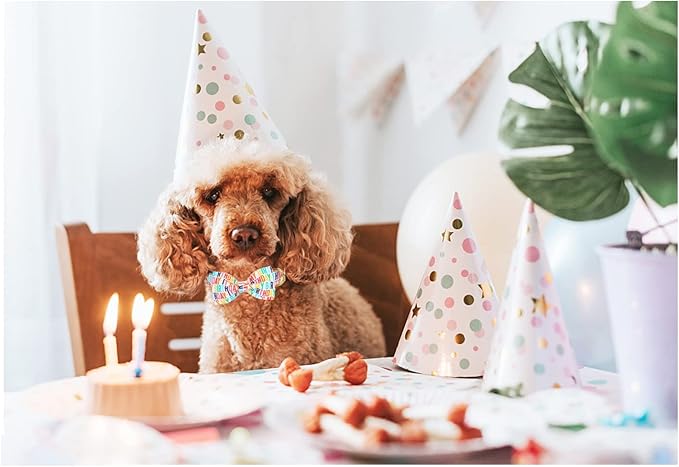 Unqiue Style Paws Birthday Dog Collar, Soft and Cute Dog Bow Tie, Durable Pet Collar with Bow Adjustable Dog Collar for X-Small Puppy