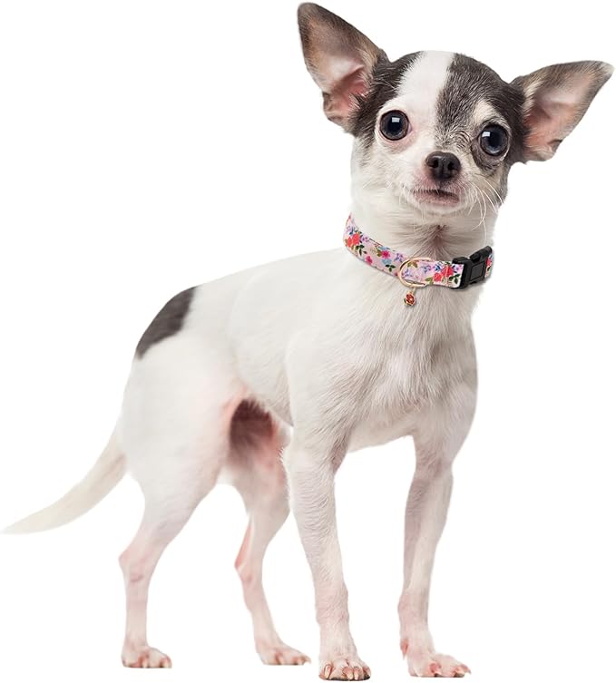 Cute Rose Dog Collar for Small Medium Large Dogs Special Design Cute Pink Rose Dog Collar for Girl Female Dogs Soft Adjustable Rose Puppy Collars for Girl Female Dogs M