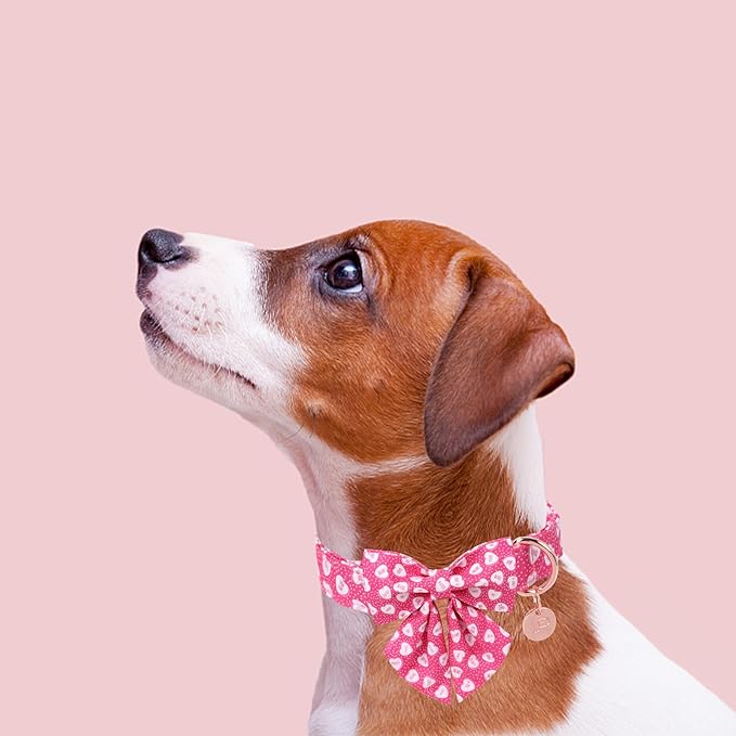 Valentine’s Dog Collar with Bow Tie, Pink Heart Bowtie Collar with Metal Buckle, Valentine’s Gift Pet Collar for Puppy Girl Boy Dog or Cat, Wedding Dog Collar, L