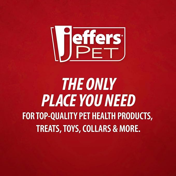 Jeffers Pet Plush American Grill Time Cuisine Dog Toys – 6" Squeaky Hotdog Plush Toys for Dogs – Chew, Cuddle, Interactive Play, Soft Durable Fabric, Puppy Gift, Christmas Stocking Stuffer