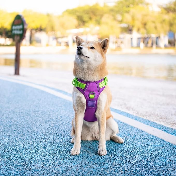 PHOEPET No Pull Dog Harness, Unique Colors Reflective Adjustable Dog Vest, with Soft Training Handle Metal Clips for Small Medium Large Dogs (Purple Base & Green Straps,L)