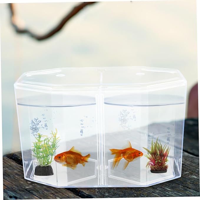 Toyvian Fish Separation Box with Removable Divider Dual Compartment Isolation Hatchery for Betta Fish Safe Breeding Tank for Tropical Fish and Fry Aquarium Incubator