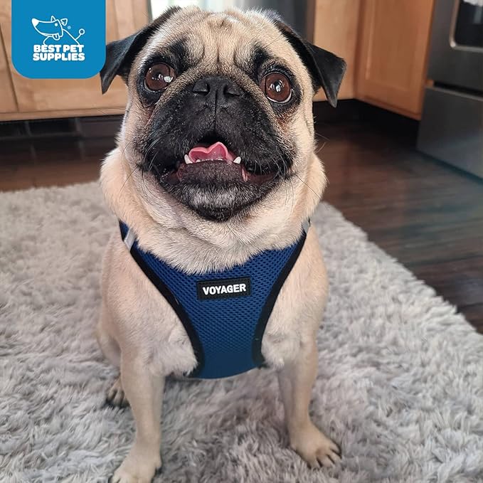 Best Pet Supplies Voyager Step-in Air Harness - All Weather Mesh, Reflective, No Pull Harness for Dogs, Cats - Secure with Hook & Loop Fastener, Buckle, Double D-Rings - Royal Blue/Black Trim, XL