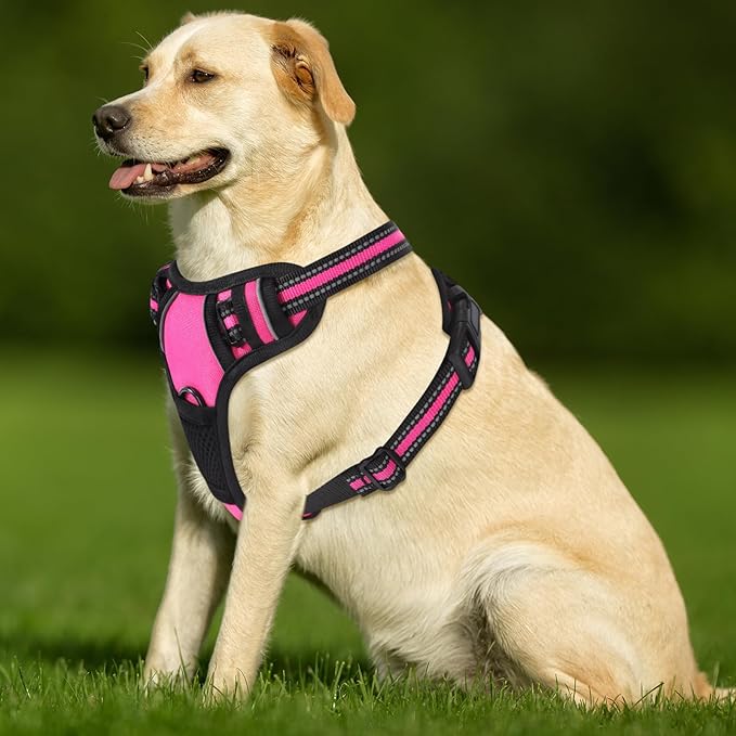 Hot Pink No-Pull Dog Harness with 2 Leash Clips,Soft Padded Vest for Medium Dog, Adjustable Reflective Dog Vest Easy to Put on and Take Off, (Neck: 14"~20", Chest: 21"~27", Hot Pink M)