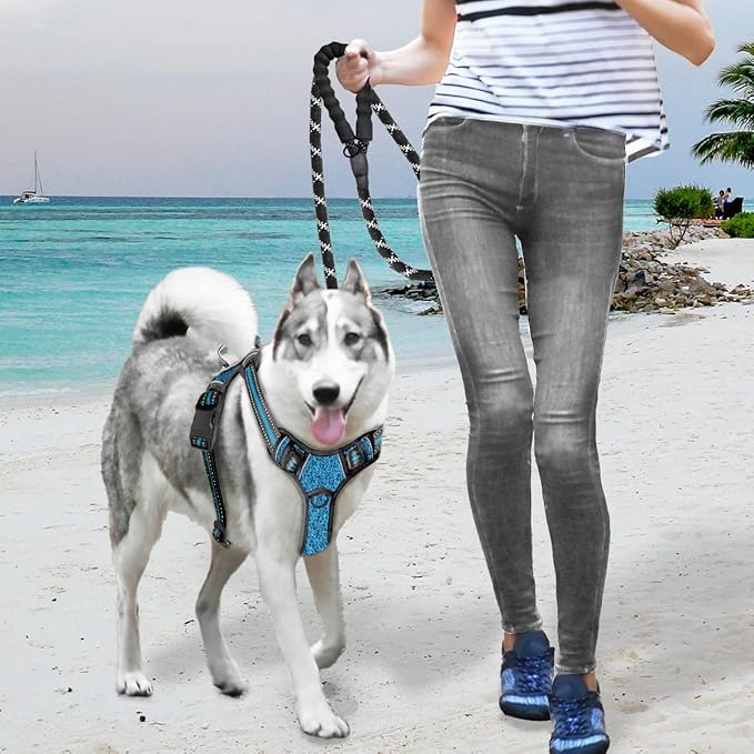 BARKBAY No Pull Dog Harness Large Reflective Dog Harness with Front Clip and Easy Control Handle for Walking Training Running with ID tag Pocket(Blue/Black,M)
