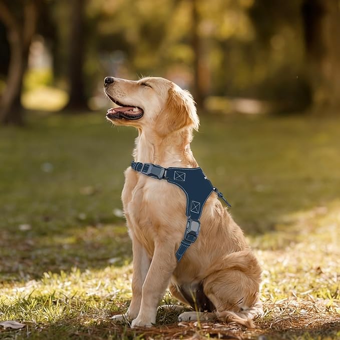 Magnetic Quick-Release Buckle Dog Harness and Leash Set, Easy Walk Faux Leather Puppy Harness and Leash, Easy On & Off Dog Vest for Small, Medium, Large Sized Girl Boy Dogs for Training, Blue,S