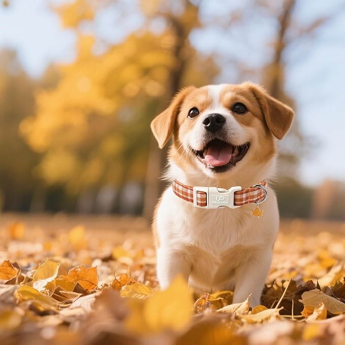 Fall Plaid Dog Collar with Maple Leaf Charm – Adjustable Autumn Checkered Dog Collar for Small Medium Large Dogs, Soft Cotton Puppy Collars with Quick Release Buckle and Metal D-Ring