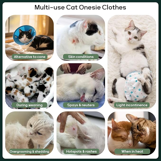 QBLEEV Cat Recovery Suit for Post Surgery, Spay Neuter Suit for Cats, Soft Stretchy Cotton Cat Onesie for Skin Diseases, Anti-Lick Surgical Shirt Pajamas for Abdominal Wound, Kitten Cone Alternative