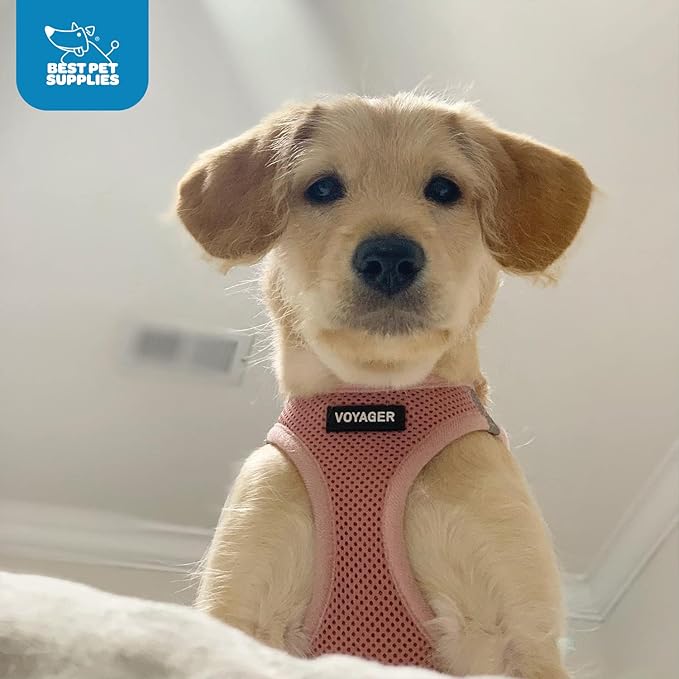 Best Pet Supplies Voyager Step-in Air Harness - All Weather Mesh, Reflective, No Pull Harness for Dogs, Cats - Secure with Hook & Loop Fastener, Buckle, Double D-Rings - Pink, XXXS