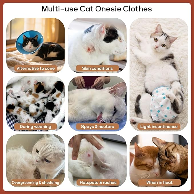 QBLEEV Cat Recovery Suit for Post Surgery, Spay Neuter Suit for Cats, Soft Stretchy Cotton Cat Onesie for Skin Diseases, Anti-Lick Surgical Shirt Pajamas for Abdominal Wound, Kitten Cone Alternative