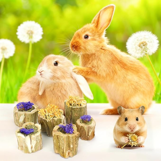 3.5oz Rabbit Chew Toys for Teeth,Bunny Papaya Wood Chew Toys Guinea Pig Treats with Apple Stick for Rabbits Guinea Pigs Hamsters Chinchillas Gerbils Prevent Teeth Overgrowth (3.5 oz, Flower)