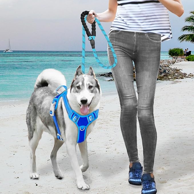 BARKBAY No Pull Dog Harness Large Reflective Dog Harness with Front Clip and Easy Control Handle for Walking Training Running with ID tag Pocket(Sapphire Blue & Blue,L)