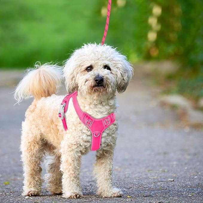 BARKBAY No Pull Dog Harness Large Reflective Dog Harness with Front Clip and Easy Control Handle for Walking Training Running with ID tag Pocket(Pink,XS)