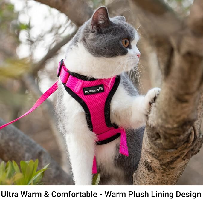 Mr. Peanut's PurrTrek Reflective Cat Harness with Matching Leash (Extra Small, Blue)