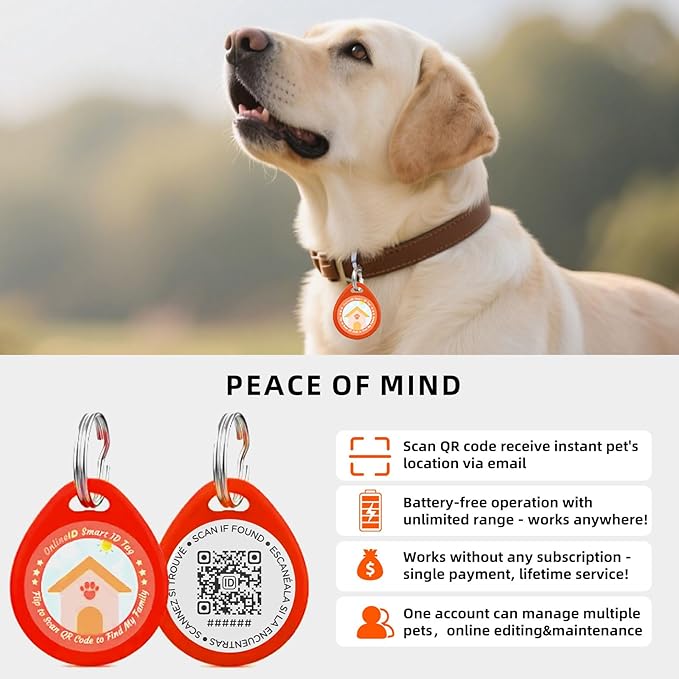 2 Pack Personalized Cat Tags,QR Code Pet ID Tags with Online Profile systerm,Editable Any Names and Phone numbles,Black&Blue,S