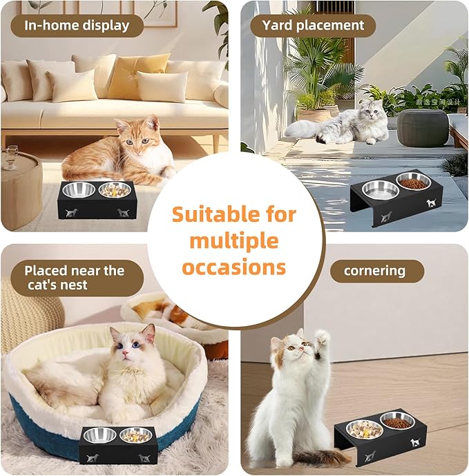 Elevated Cat Food Bowl,15°Tilted Stand Anti Vomiting Raised Cat Dishes for Food and Water,2 Stainless Steel Bowls,Non-Slip No Spill,Cats and Puppy