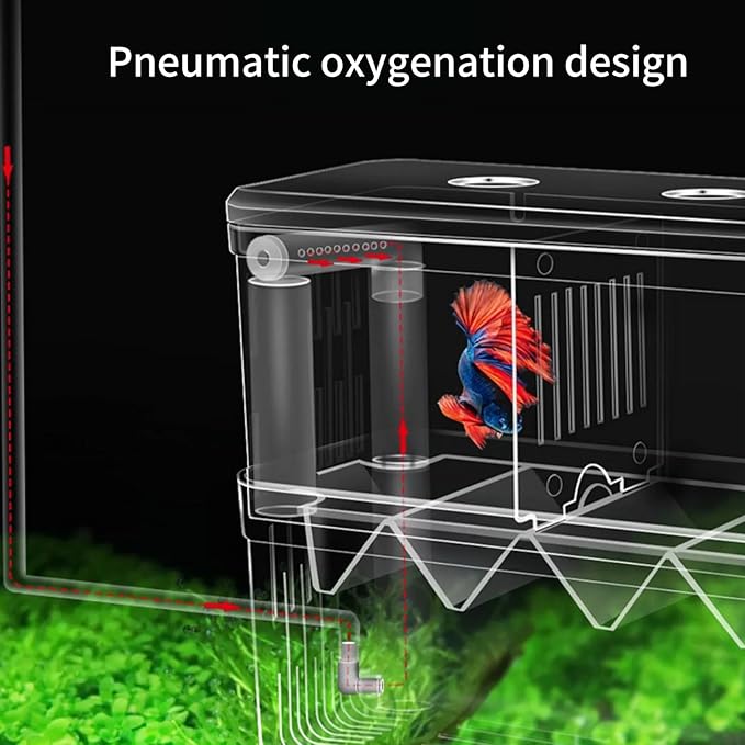 FishTanks Hatchery Incubator Aquarium Small Breeding Box Clear Breeder Isolation Hatching Box with Hook