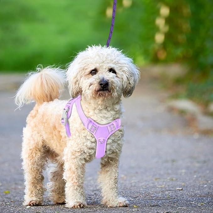 BARKBAY No Pull Dog Harness Large Reflective Dog Harness with Front Clip and Easy Control Handle for Walking Training Running with ID tag Pocket(Violet Purple,XS)