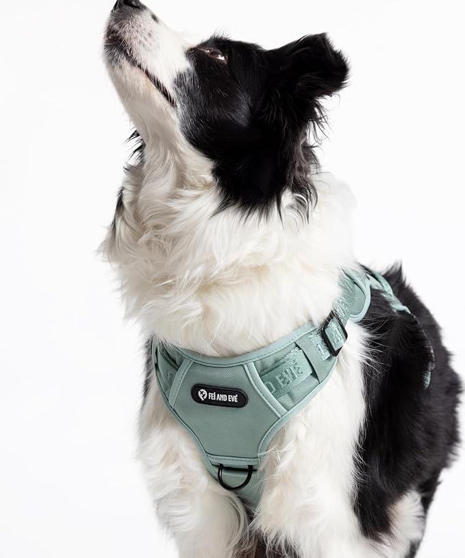 2025 New Edition, Fei & Eve Classic Dog Harness - Quick-Release Buckles | 3-Point No-Pull Control | Heavy-Duty 900D Nylon | Dual Safety Handles | Breathable Mesh | Adjustable Fit | Small,Green