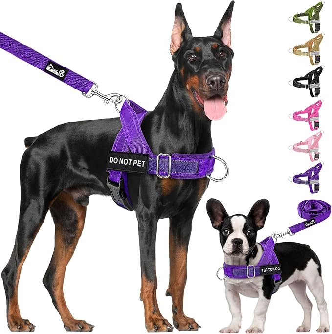 Lukovee No Pull Dog Harness & Leash Set - Heavy Duty Dog Vest Harness with Soft Padded for Medium Large Dogs, Adjustable Reflective Tactical Pet Harness for Easy Walk and Training (S, PU)