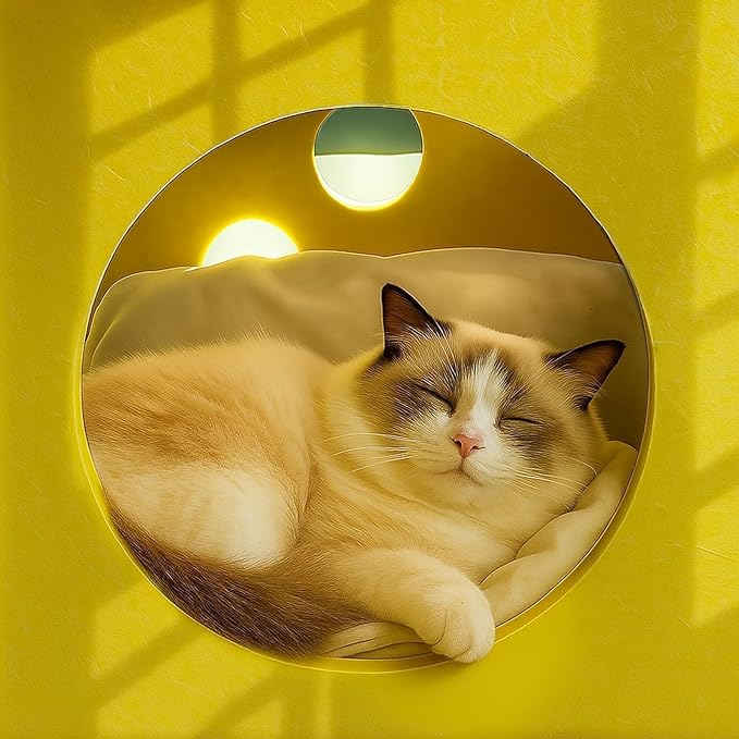 41 Pcs Interactive Cat Toys for Indoor Cats, Kitten Toys with Cute Cat House Bed, Catnip Toys, Chew Rope, Feather Wand, Springs and Balls for Indoor Kittens