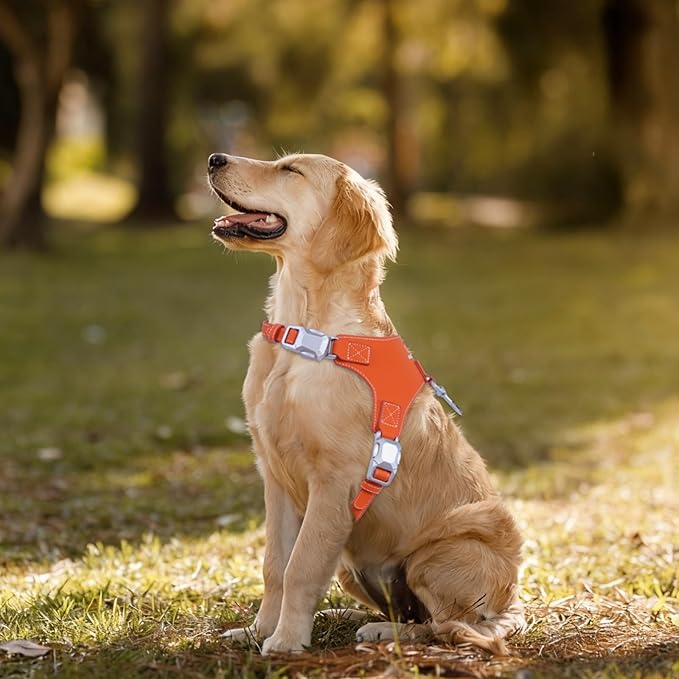 Magnetic Quick-Release Buckle Dog Harness and Leash Set, Easy Walk Faux Leather Puppy Harness and Leash, Easy On & Off Dog Vest for Small, Medium, Large Girl Boy Dogs for Training, Orange,S