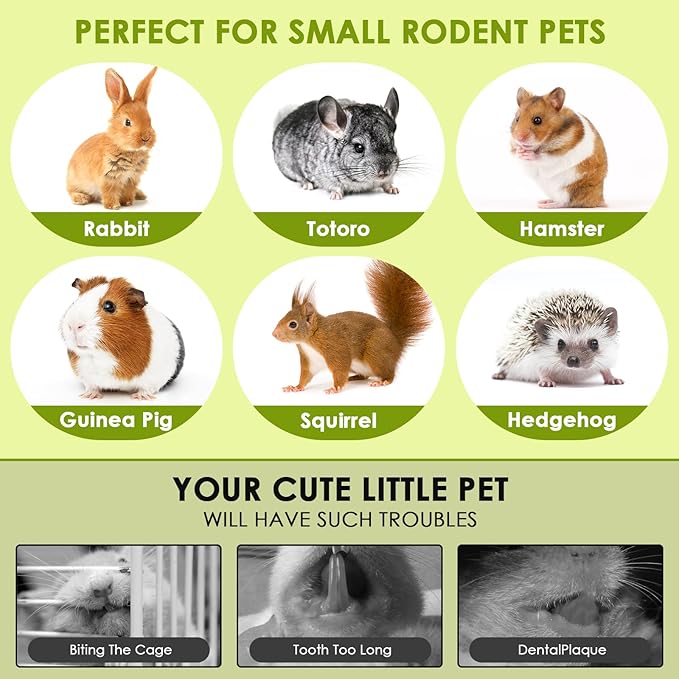 Guinea Pig Snacks, Guinea Pig Treats and Chews Gerbil Treats, Carrot, Spinach for Hamsters, Rabbits, Guinea Pigs & Gerbils Crunchy (2 can Fruits and Vegetables)