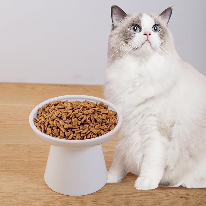 6.2 Inch Extra Wide Elevated Ceramic Cat Bowls, Food and Water Bowl Set for Elder Big Cats Small Dogs, Raised Design for Pet Easy Eating, Protect Cat's Spine Set of 1(White-1pc)
