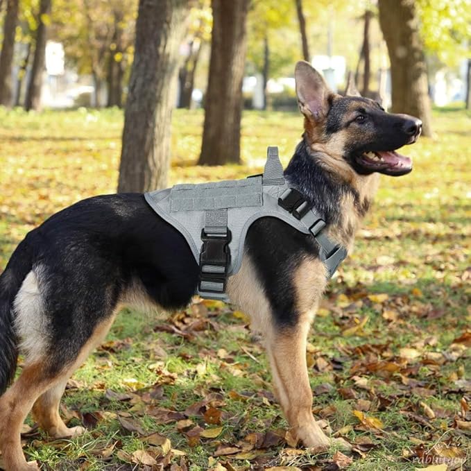 rabbitgoo Tactical Dog Harness for Large, Heavy Duty Pet Harness with Handle, No-Pull Service Vest Large Breed, Adjustable Military Dog Vest for Training Hunting Walking, Grey, XL