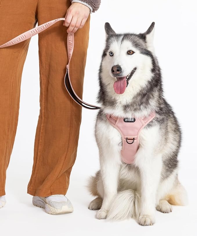 2025 New Edition, Fei & Eve Classic Dog Harness - Quick-Release Buckles | 3-Point No-Pull Control | Heavy-Duty 900D Nylon | Dual Safety Handles | Breathable Mesh | Adjustable Fit | Large,Pink