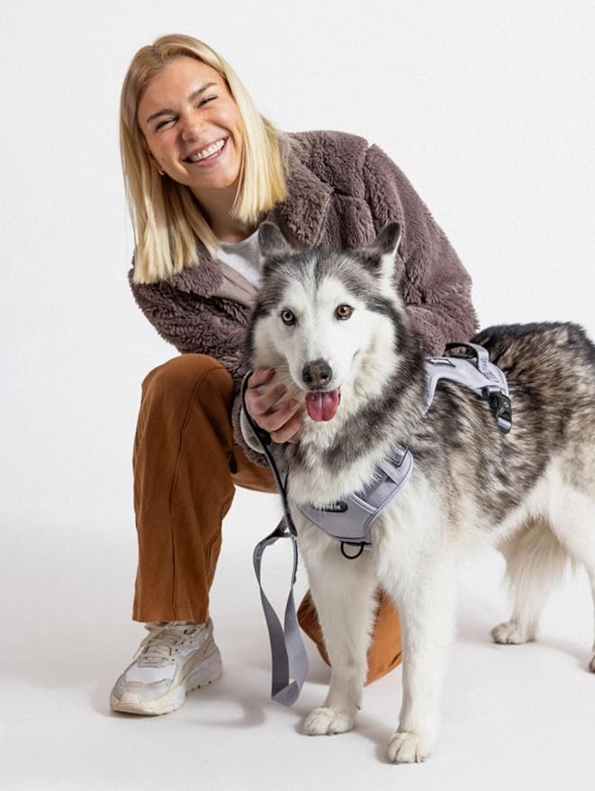 2025 New Edition, Fei & Eve Classic Dog Harness - Quick-Release Buckles | 3-Point No-Pull Control | Heavy-Duty 900D Nylon | Dual Safety Handles | Breathable Mesh | Adjustable Fit | Small,Gray