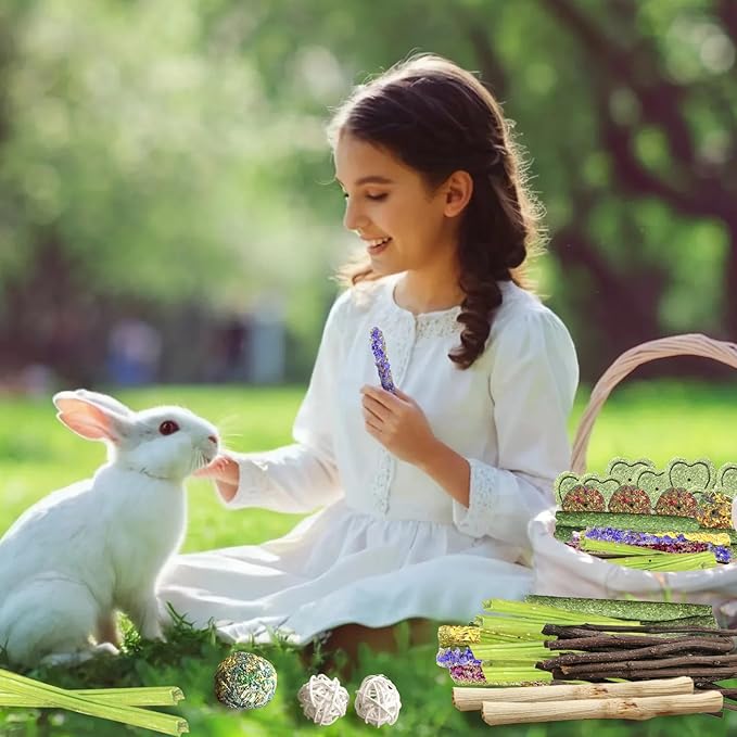 70Pcs Bunny Chew Toys with Applewood Hanging Strings, Bunny Treats for Rabbits Bunny Toys for Teeth, Papaya Stem, Timothy Stick, Apple Sticks, Sweet Bamboo, for Guinea Pig, Hamster, Chinchilla, Rat