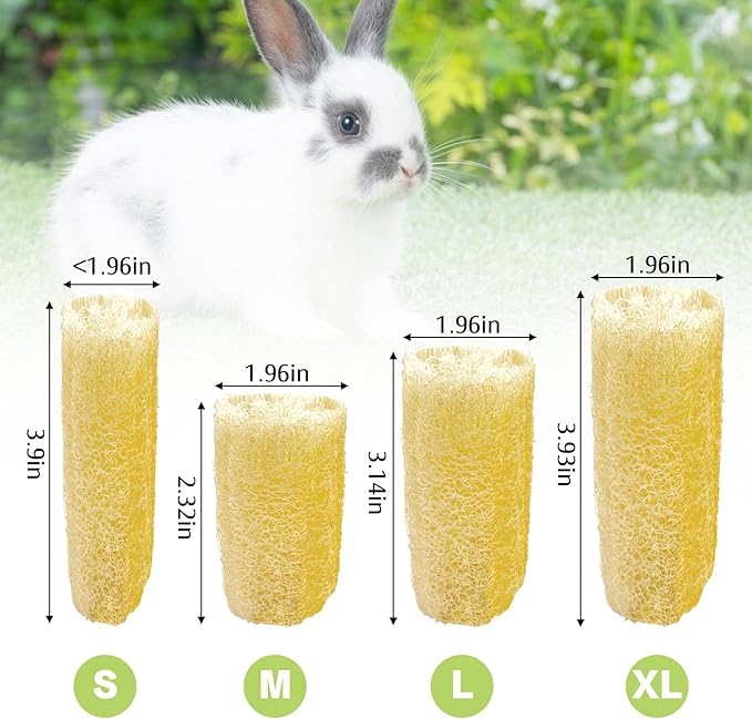 BNOSDM Bunny Chew Toys Natural Loofah 12PCS Bunny Teeth Grinding Toy Rabbit Fiber-Rich Treats Pet Entertainment Accessories for Rabbits Chinchillas Guinea Pig(S)