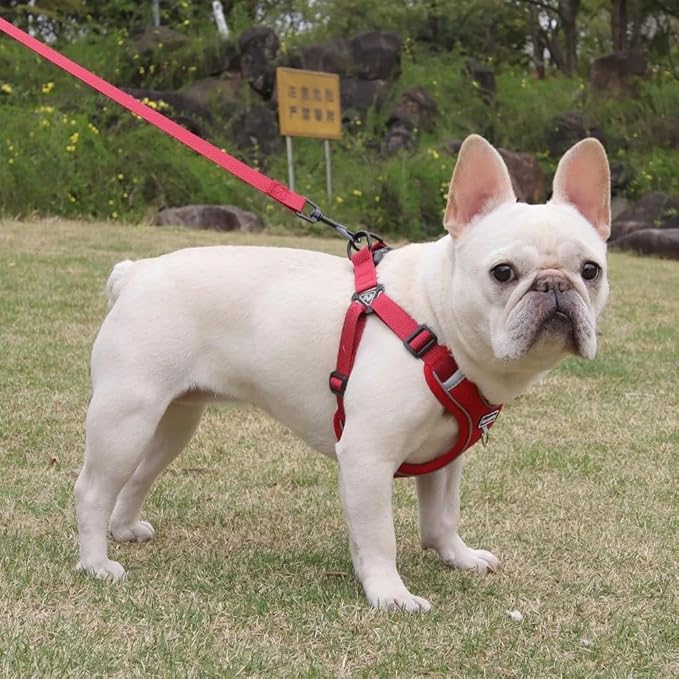 Dog Harness and Leash Set, Adjustable Triangle, Reflective Adjustable Puppy Vest, No Pull Soft Mesh Harness for Small, Medium Dogs, Cats (Red, L)