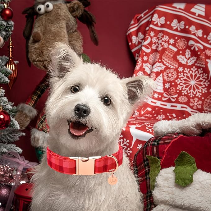 Christmas Dog Collar, Christmas Collar for Puppy Girl Boy Dog or Cat, Red Plaid Dog Collar with Durable Metal Buckle, Cute Pet Collar, M